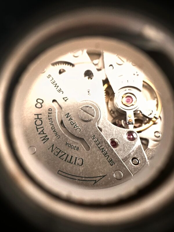 Citizen - Image 7