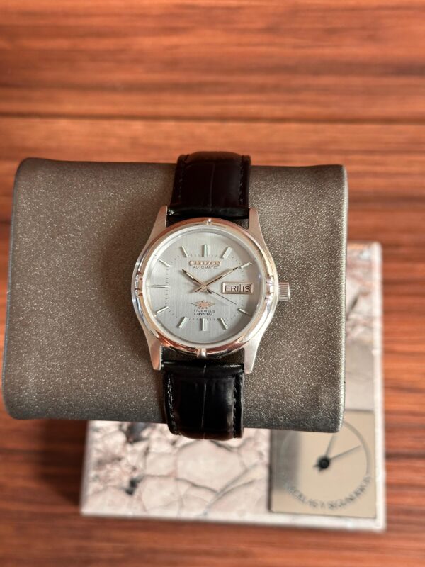 Citizen - Image 10