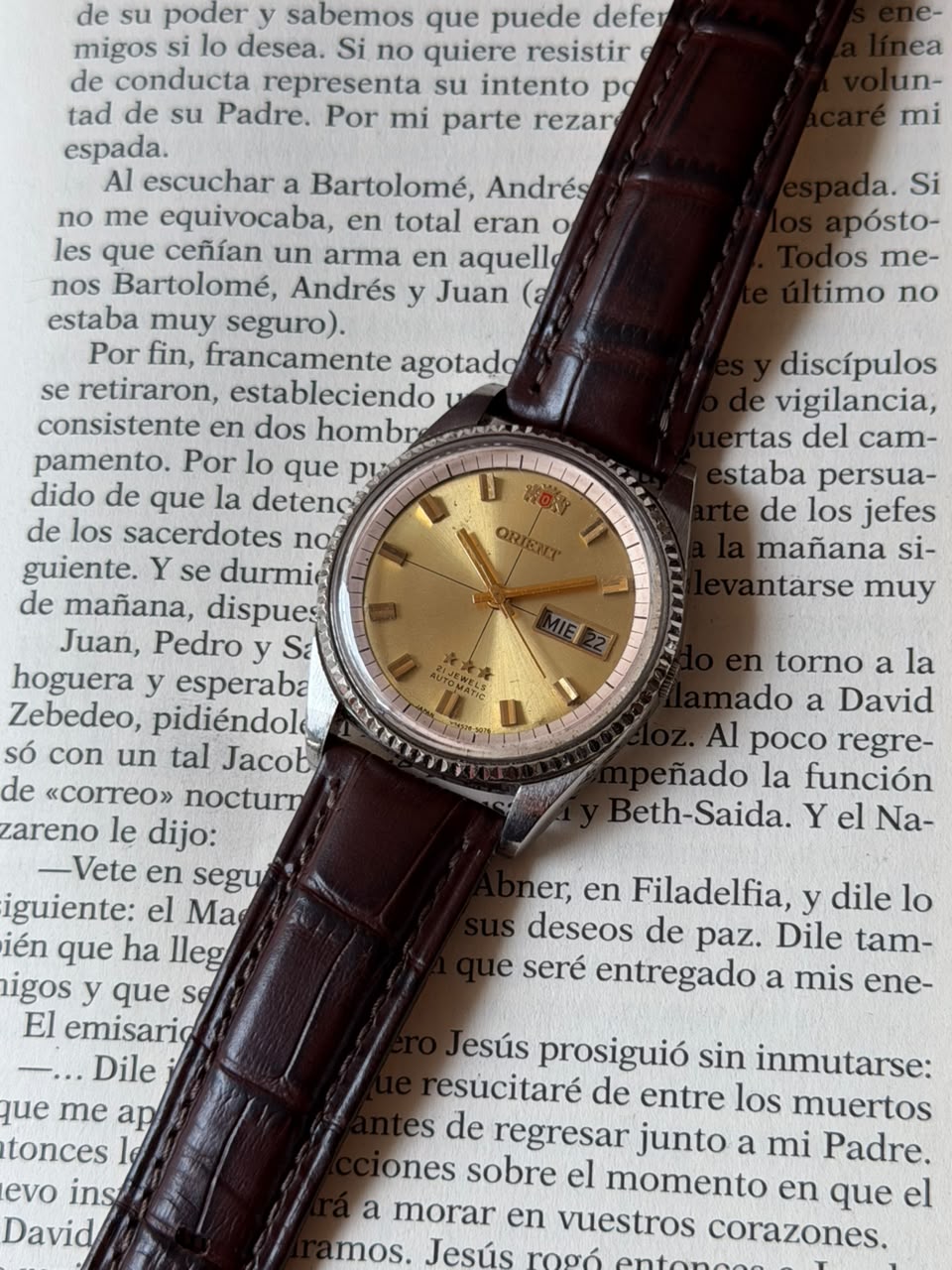 Orient - Imagen 4