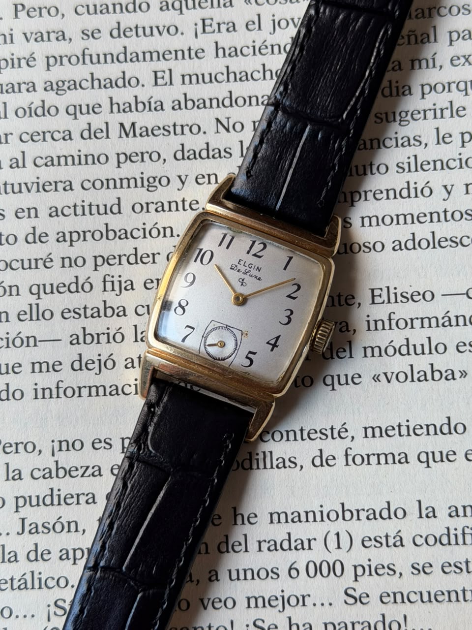 Elgin - Imagen 8